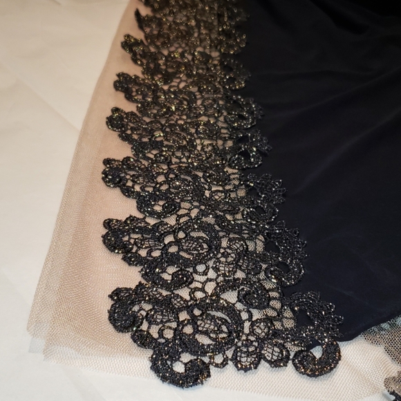 SOLD**** XSCAPE New Crochet Lace Column Gown Dress 22 Sexy! - Picture 9 of 10